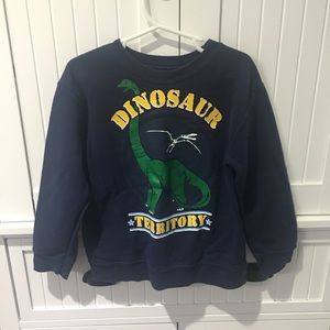 Boys dinosaur sweatshirt.